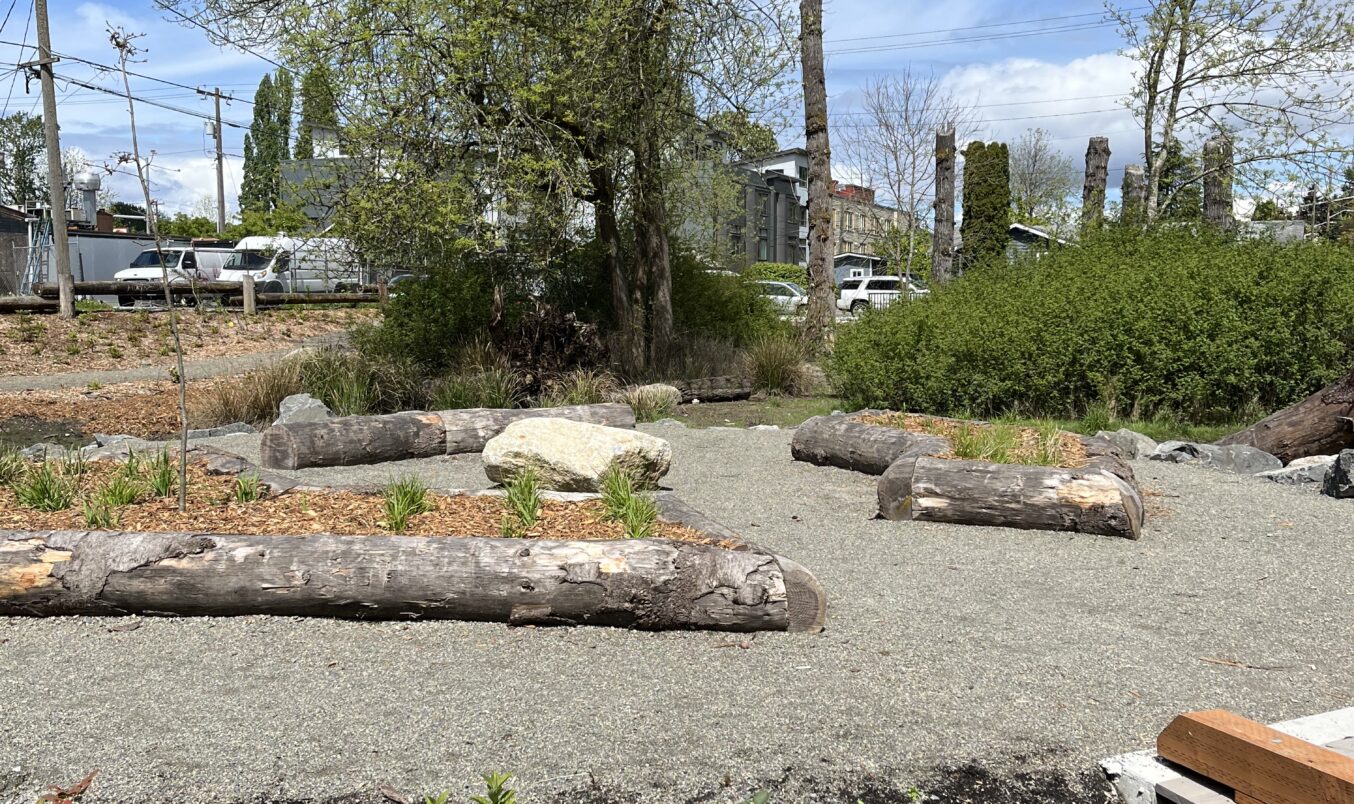 Windward Cleans Up at Delridge Wetland Park