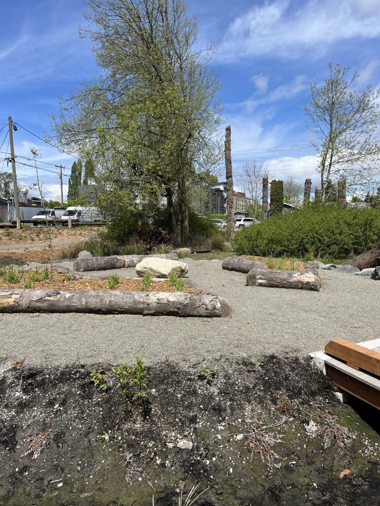 Windward Cleans Up at Delridge Wetland Park