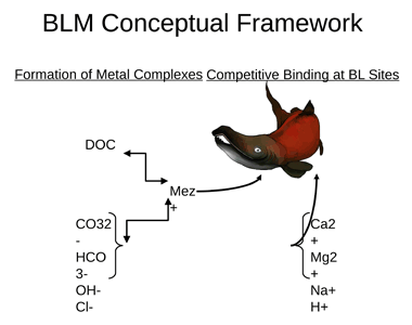 Biotic Ligand Model Fig 1